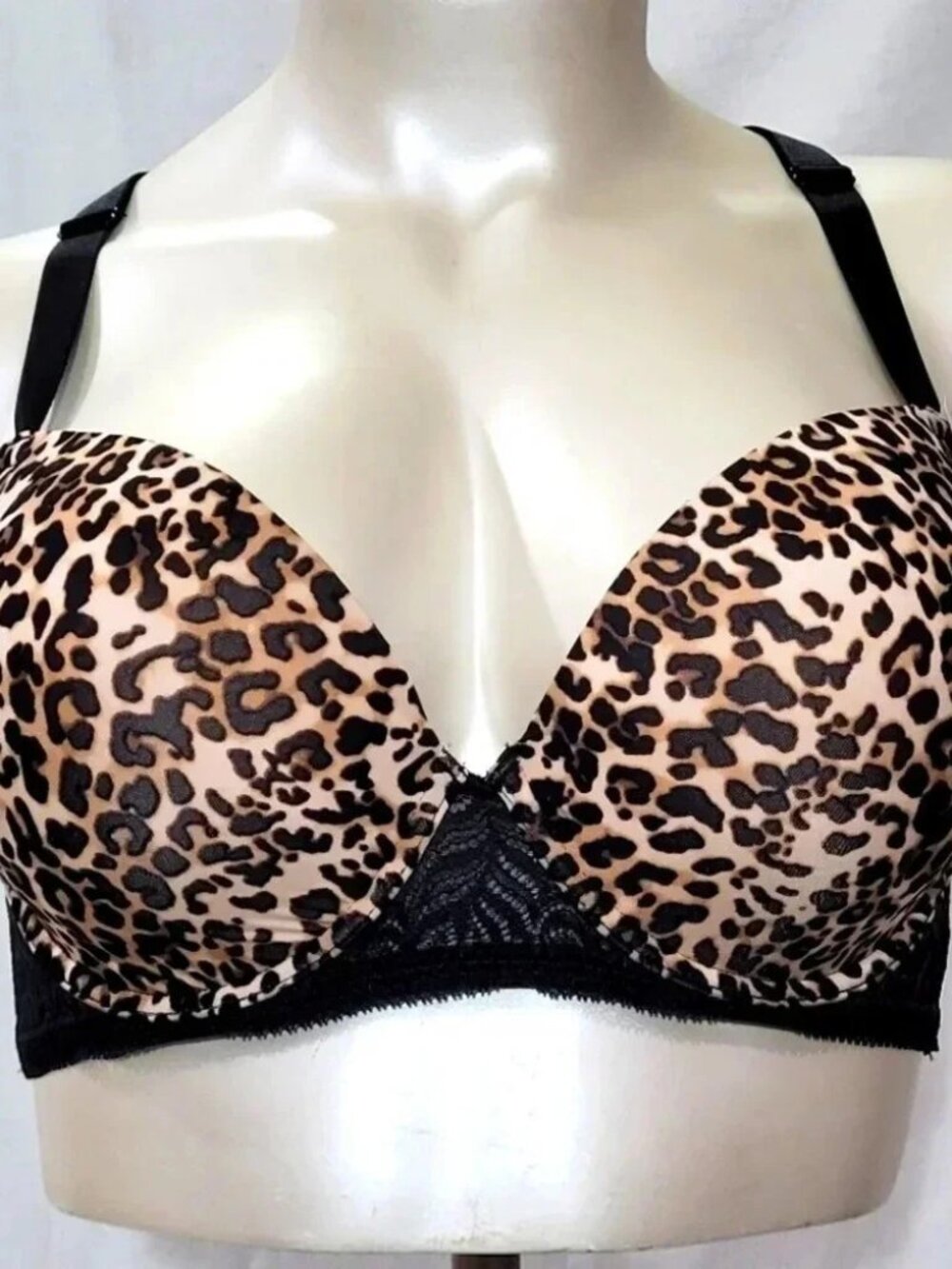 Paramour Felina Bra